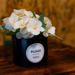 Фото Широкий дол