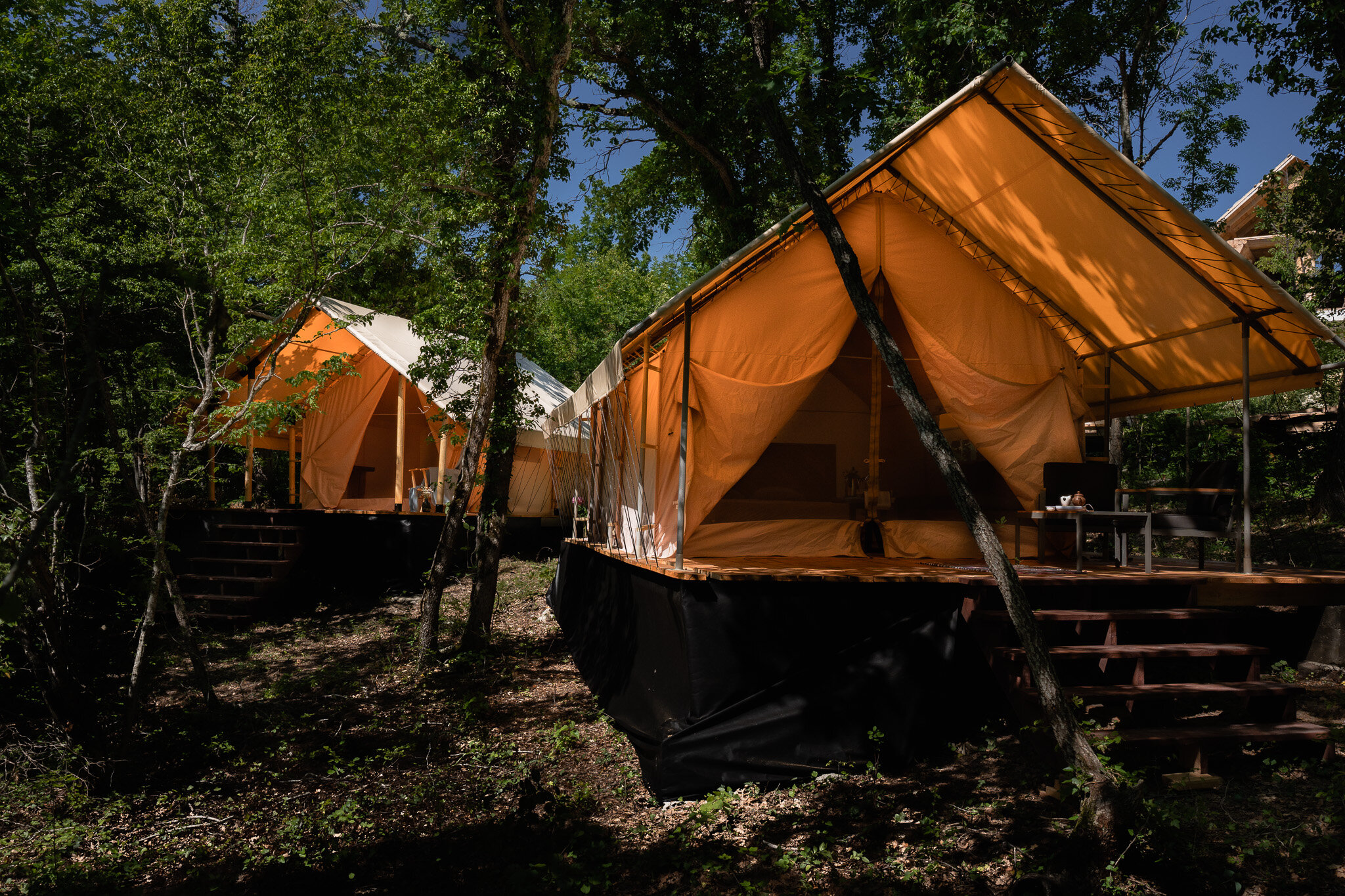 Фото Горный Енот