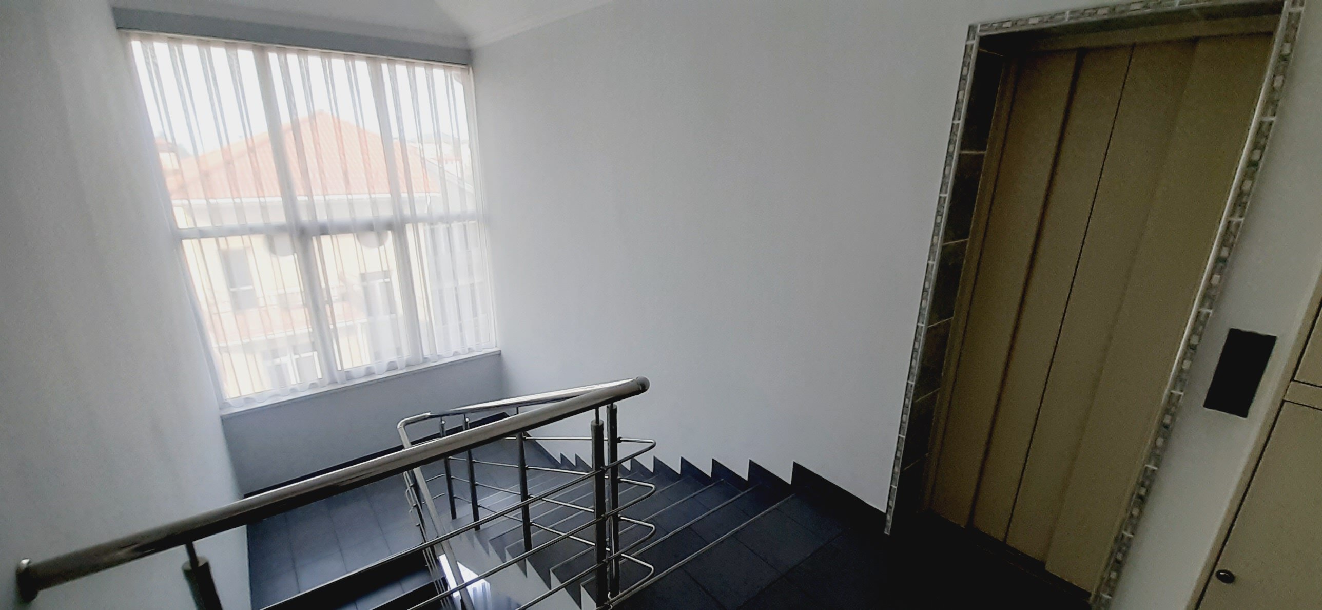 Фото Орхидея