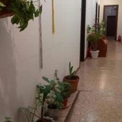 Фото Созвездие+