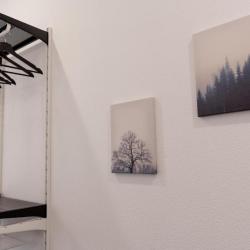 Фото Вояжер