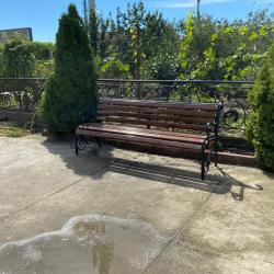 Фото Жасмин