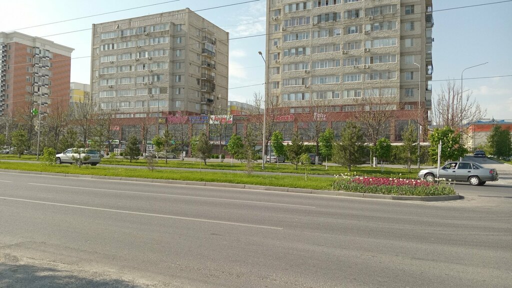 Accountants Bukhgalteriya, Chimkent, photo