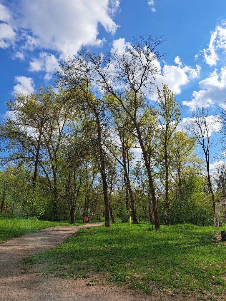 Орманды бақ Севастопольский парк, Минск, фото