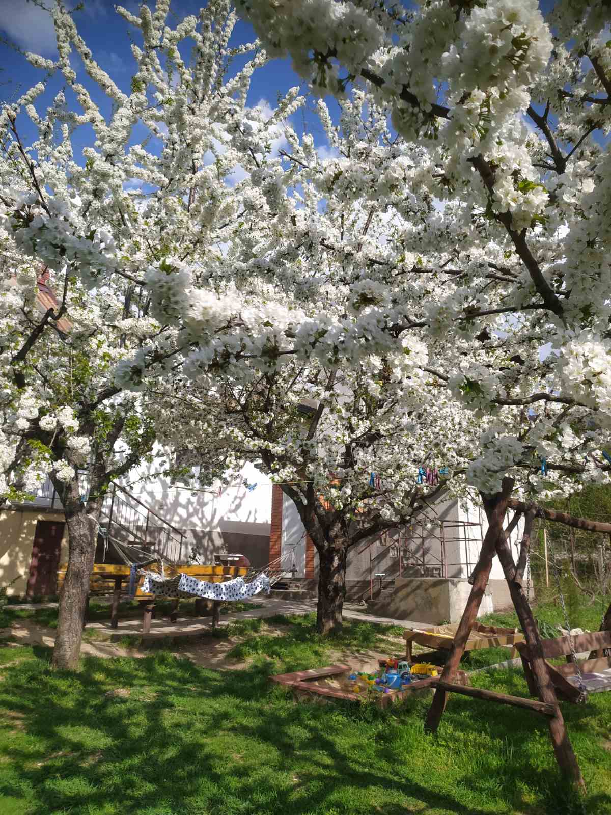 Фото Пчёлка