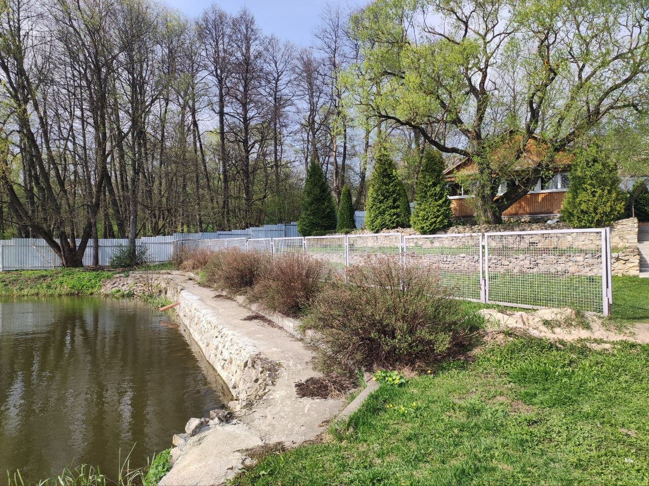 Фото Лесное Озеро