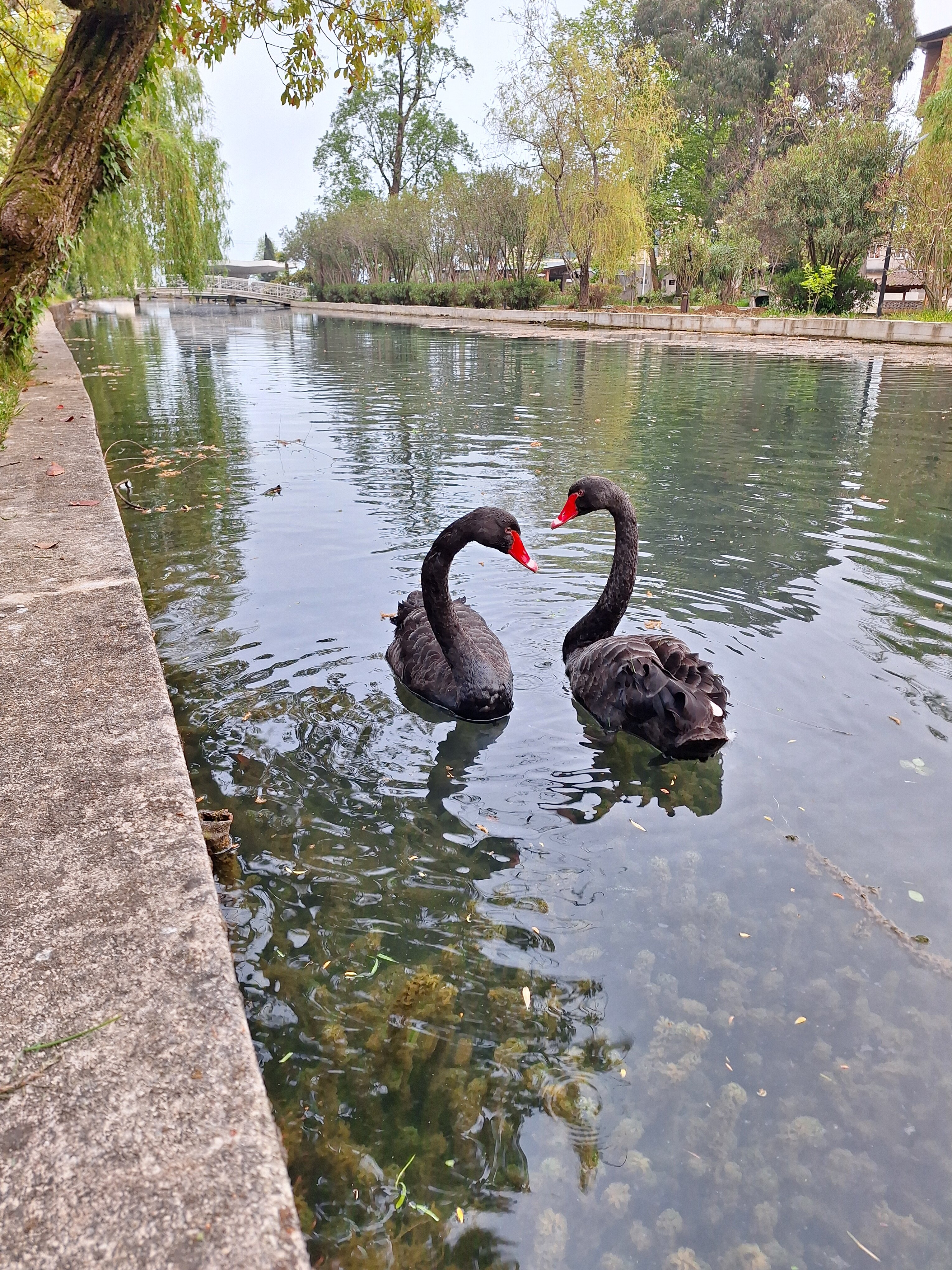Фото Гранд Отель Афон