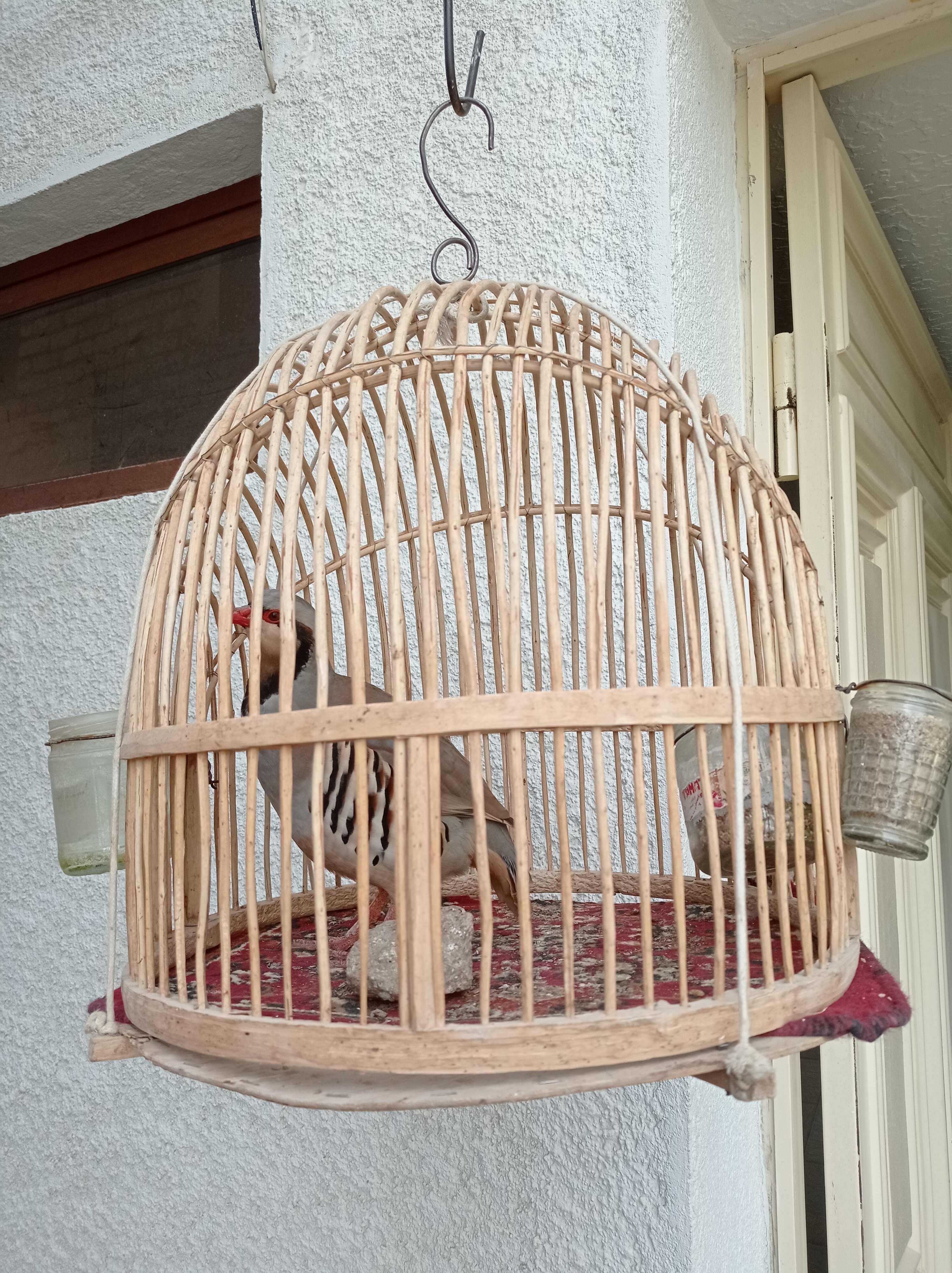 Фото Мукаддас