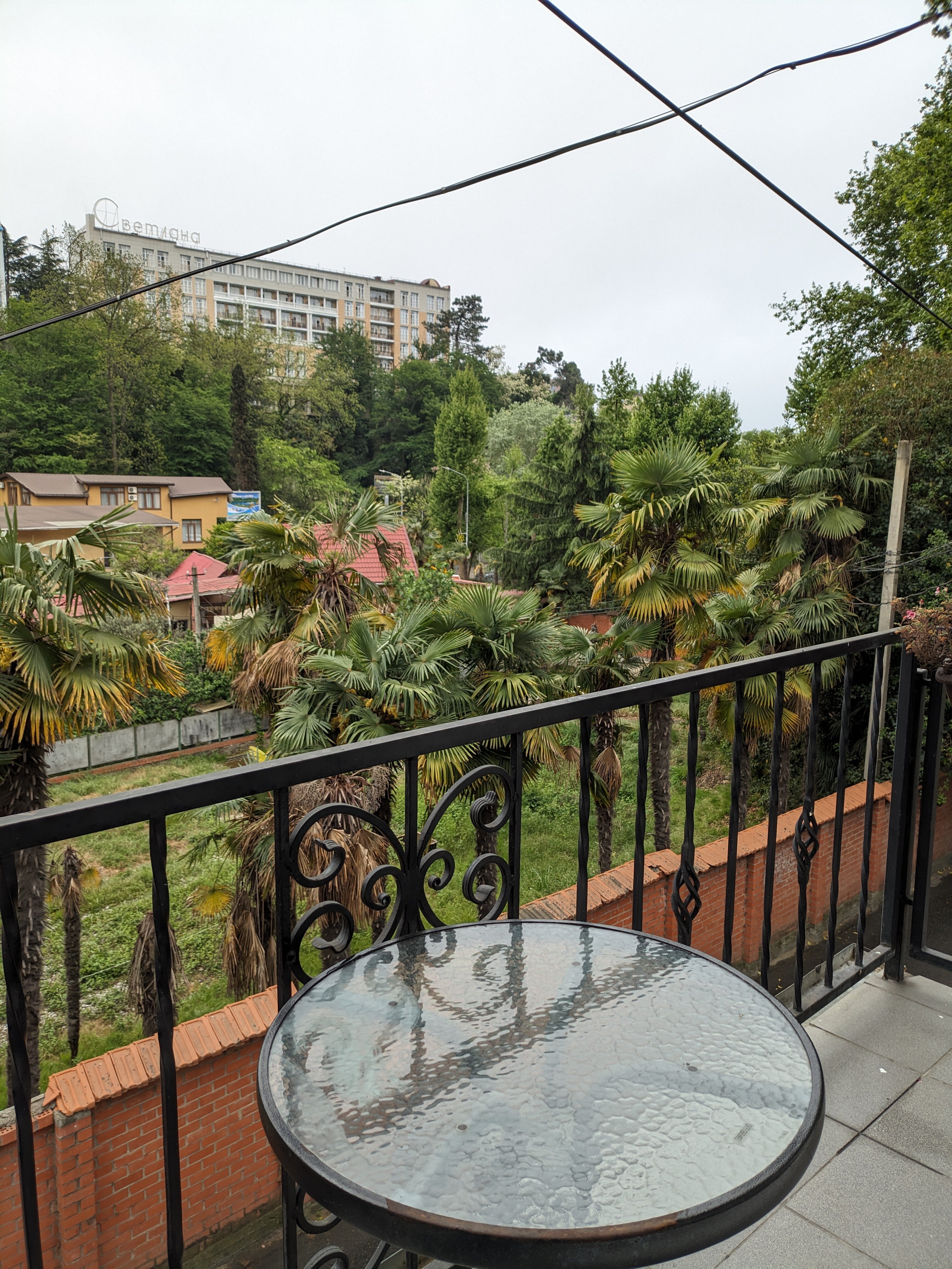 Фото Чайка Сочи