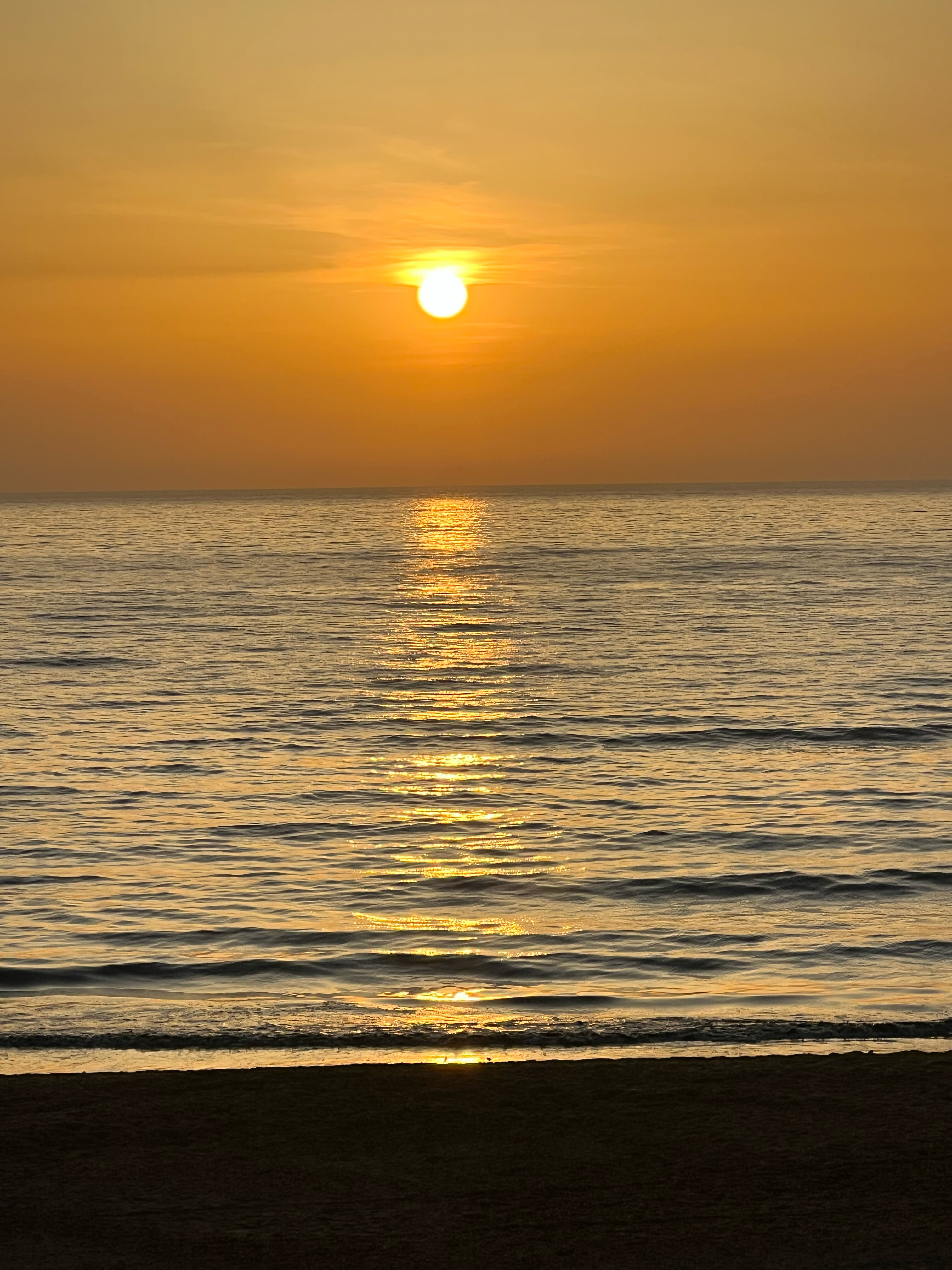 Фото Вилла Оазис