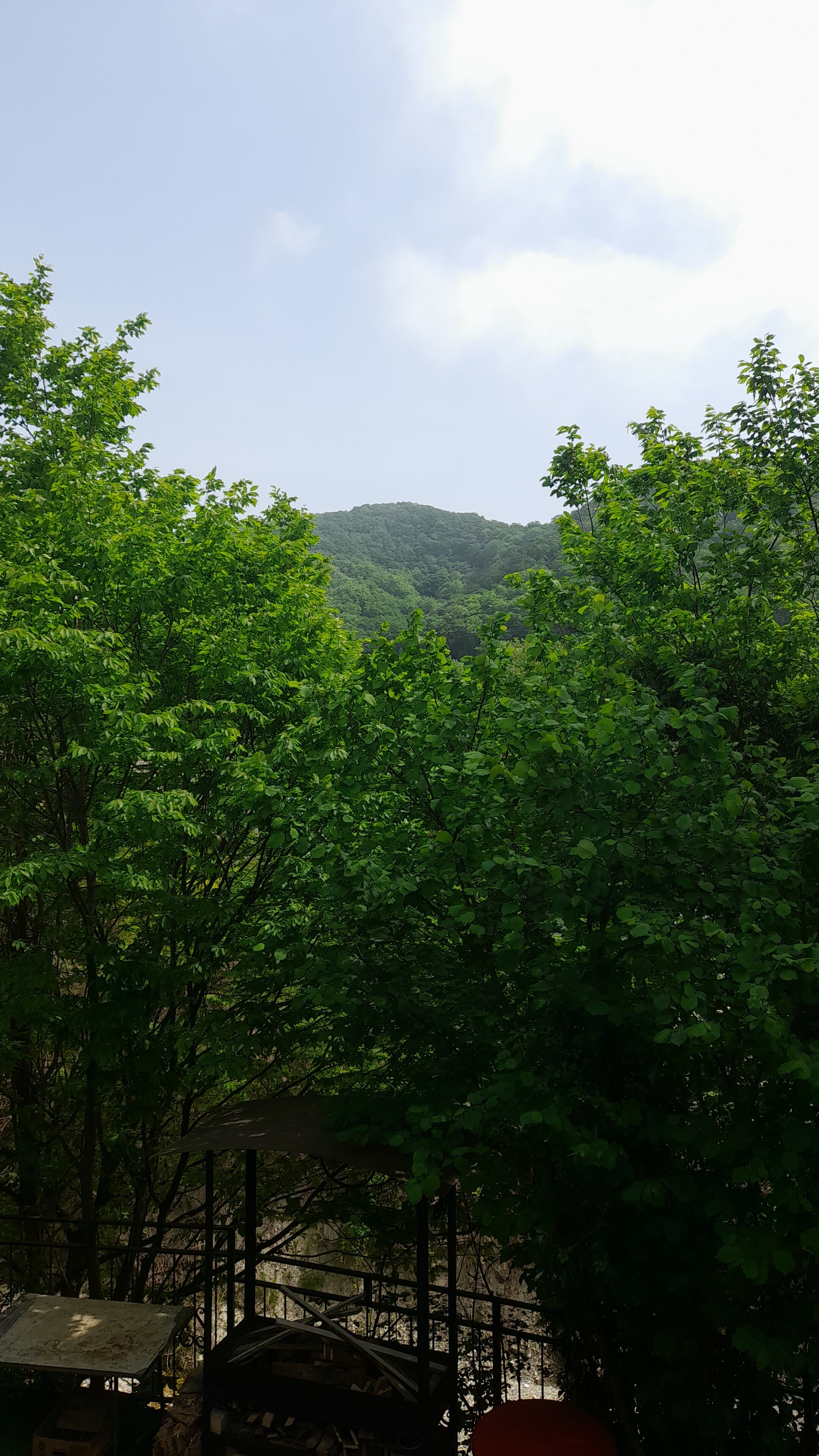 Фото Малютка