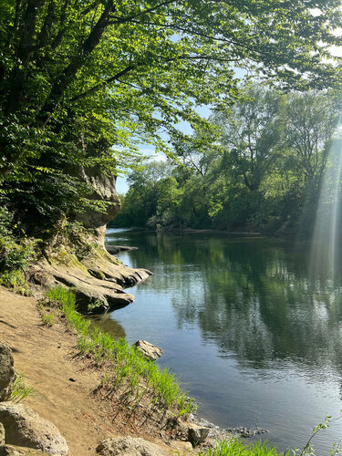 Мастурбация жасайтын жалғызбасты әйелдер