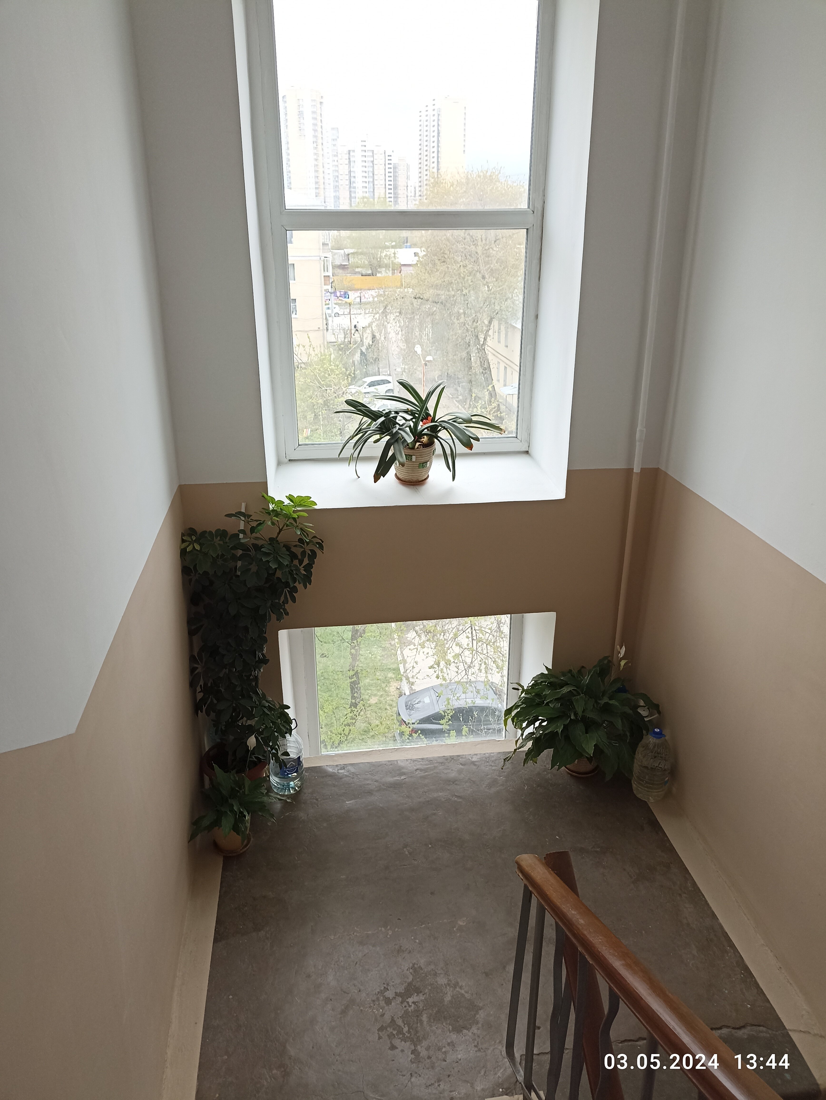 Фото Созвездие