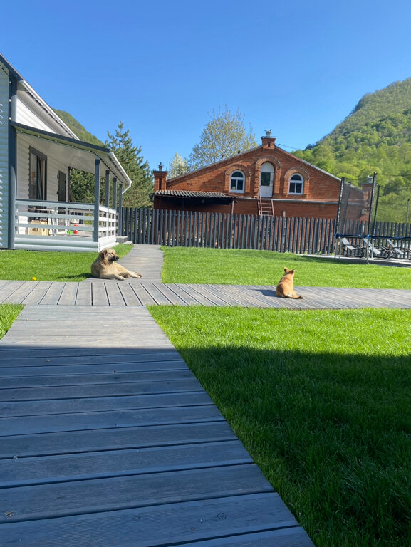 Фото ПроГоры