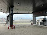 Мустанг (Chechen Republic, Gudermesskiy District, R-217 Kavkaz, 714-y kilometr), gas station