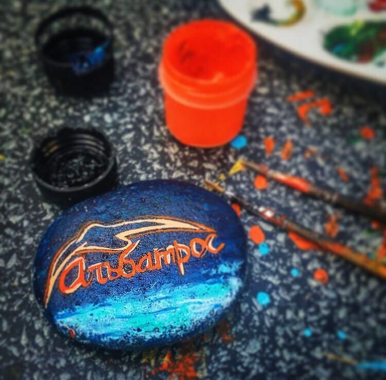 Фото Альбатрос