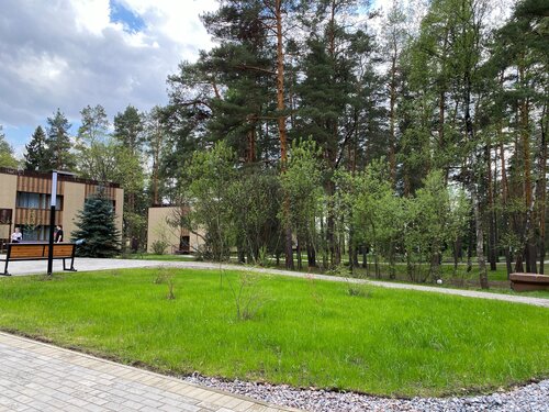 Времена года в зелёном городе фото 6