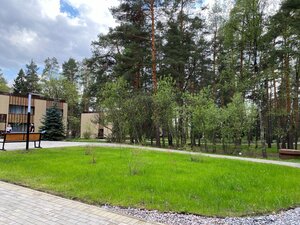 Времена года в зелёном городе