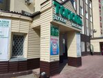 Toys store (ulitsa Akademika Chokina, 38/1), toys and games