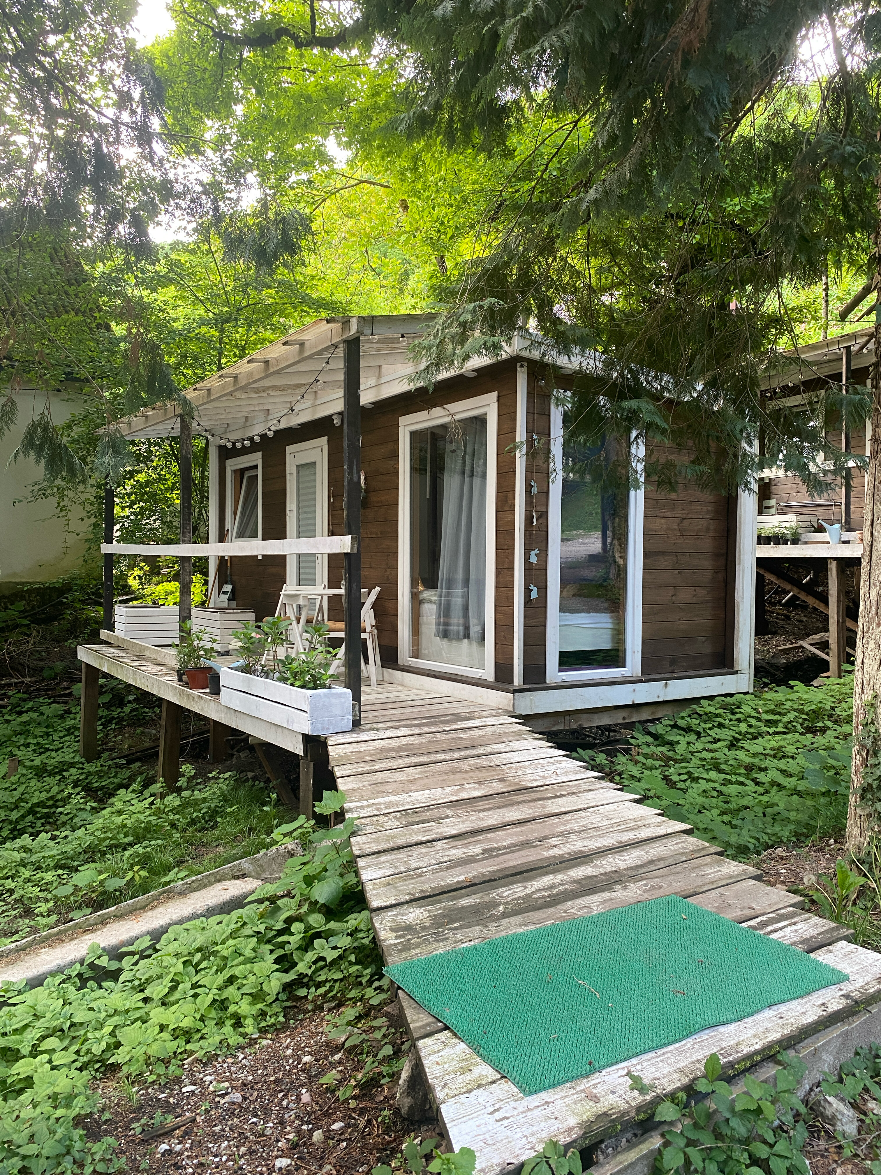 Фото Зайки в домике