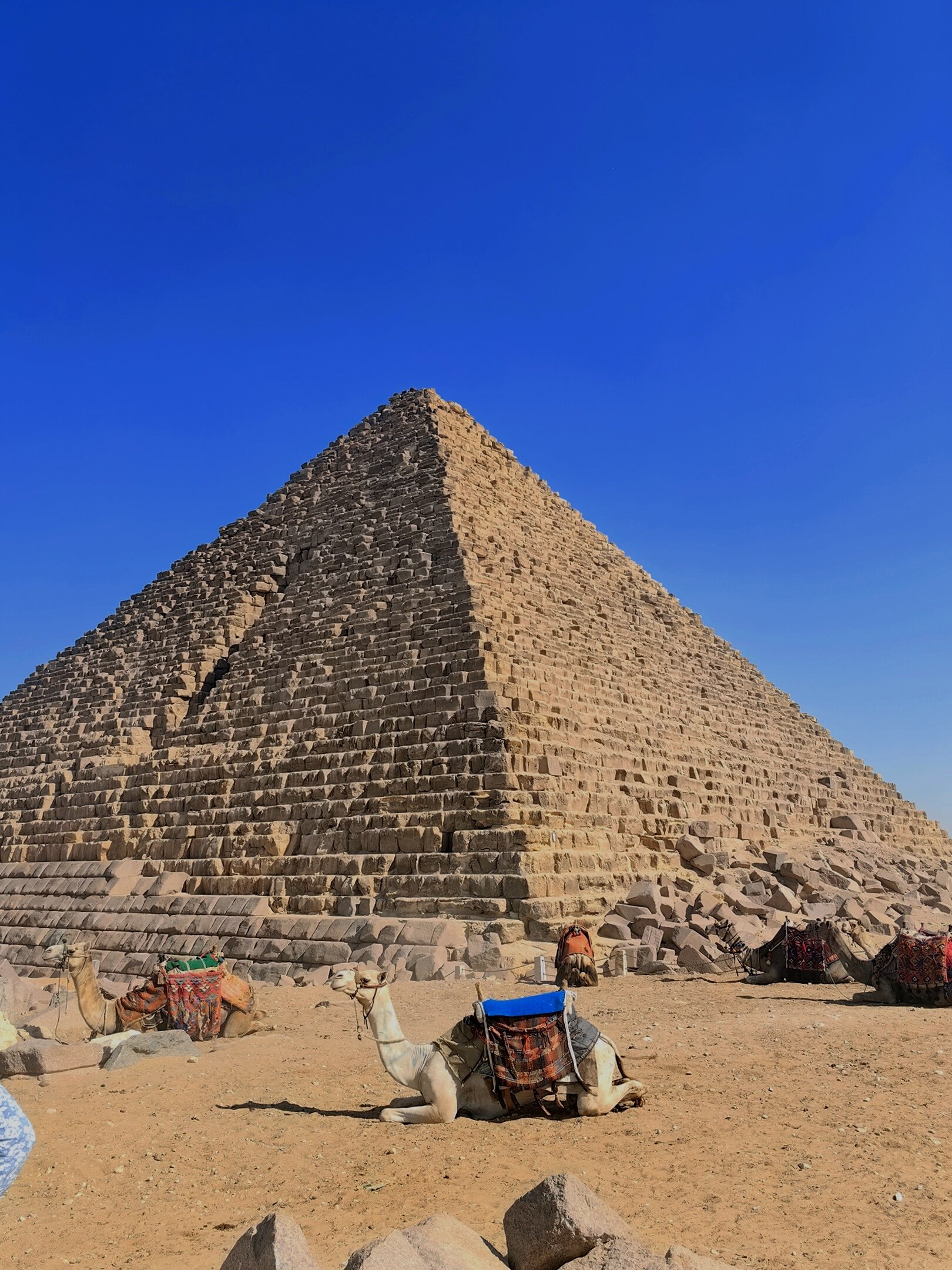 Фото The Grand Hotel Sharm El Sheikh