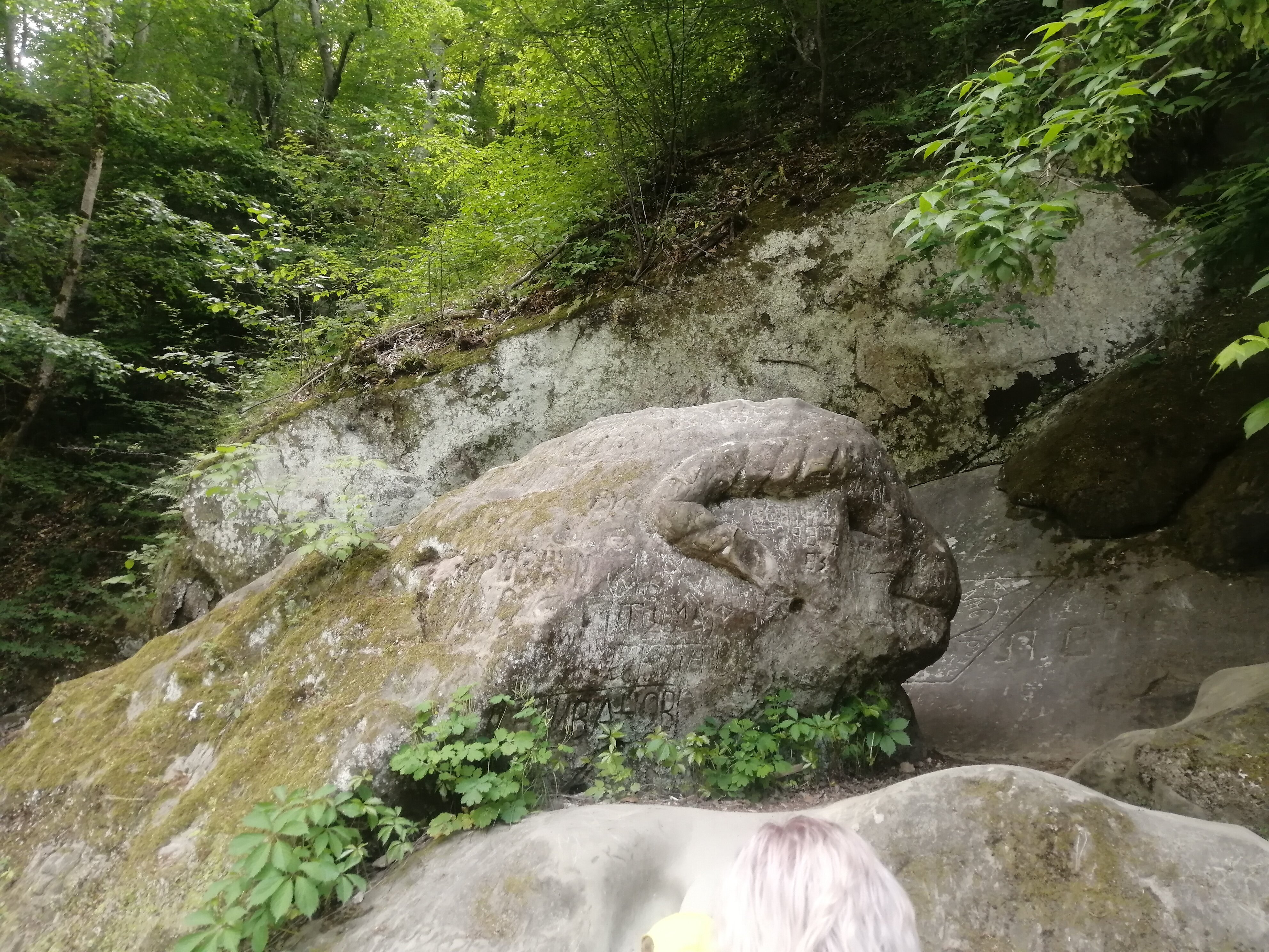 Фото Гостевые домики