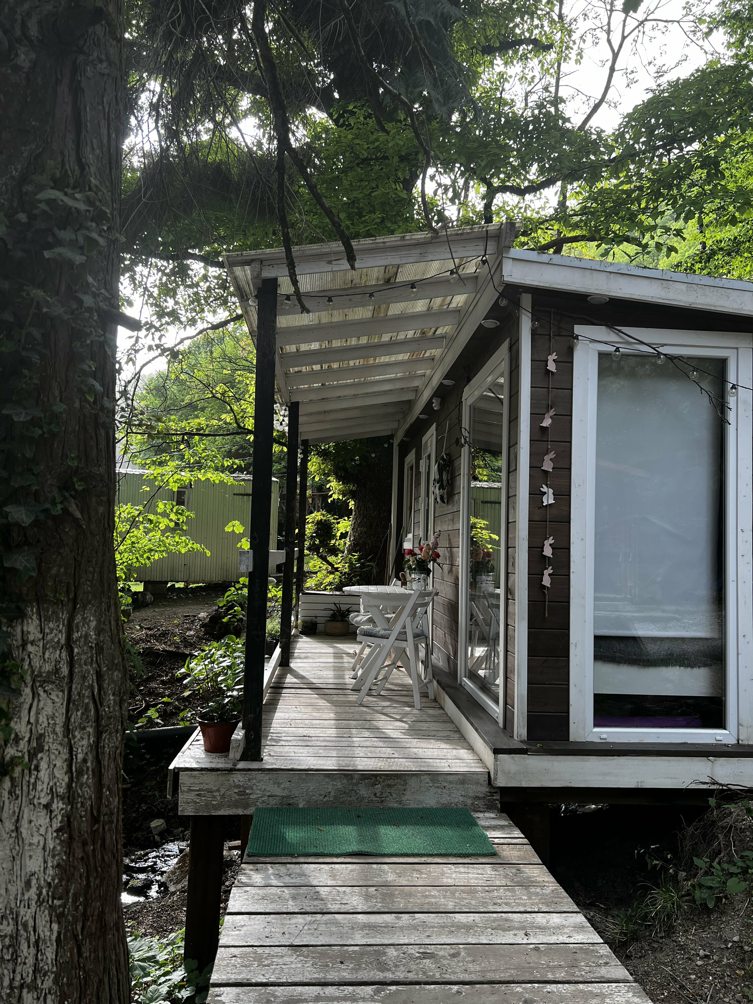 Фото Зайки в домике