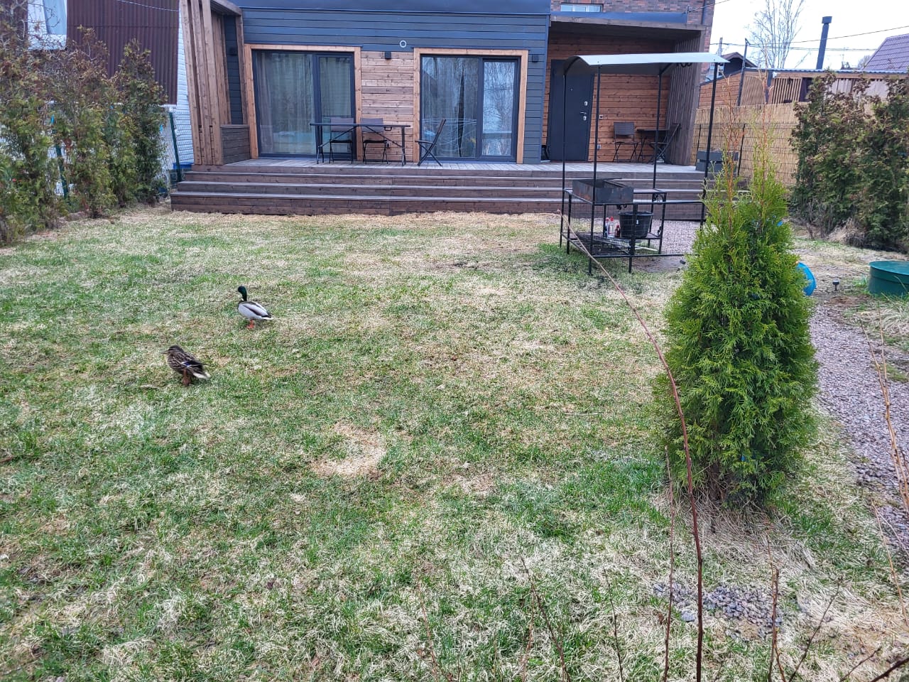 Фото Домик в Разливе