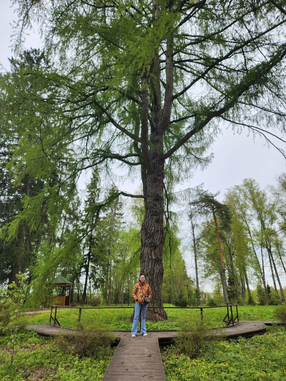Фото Музей-Усадьба дворян Леонтьевых