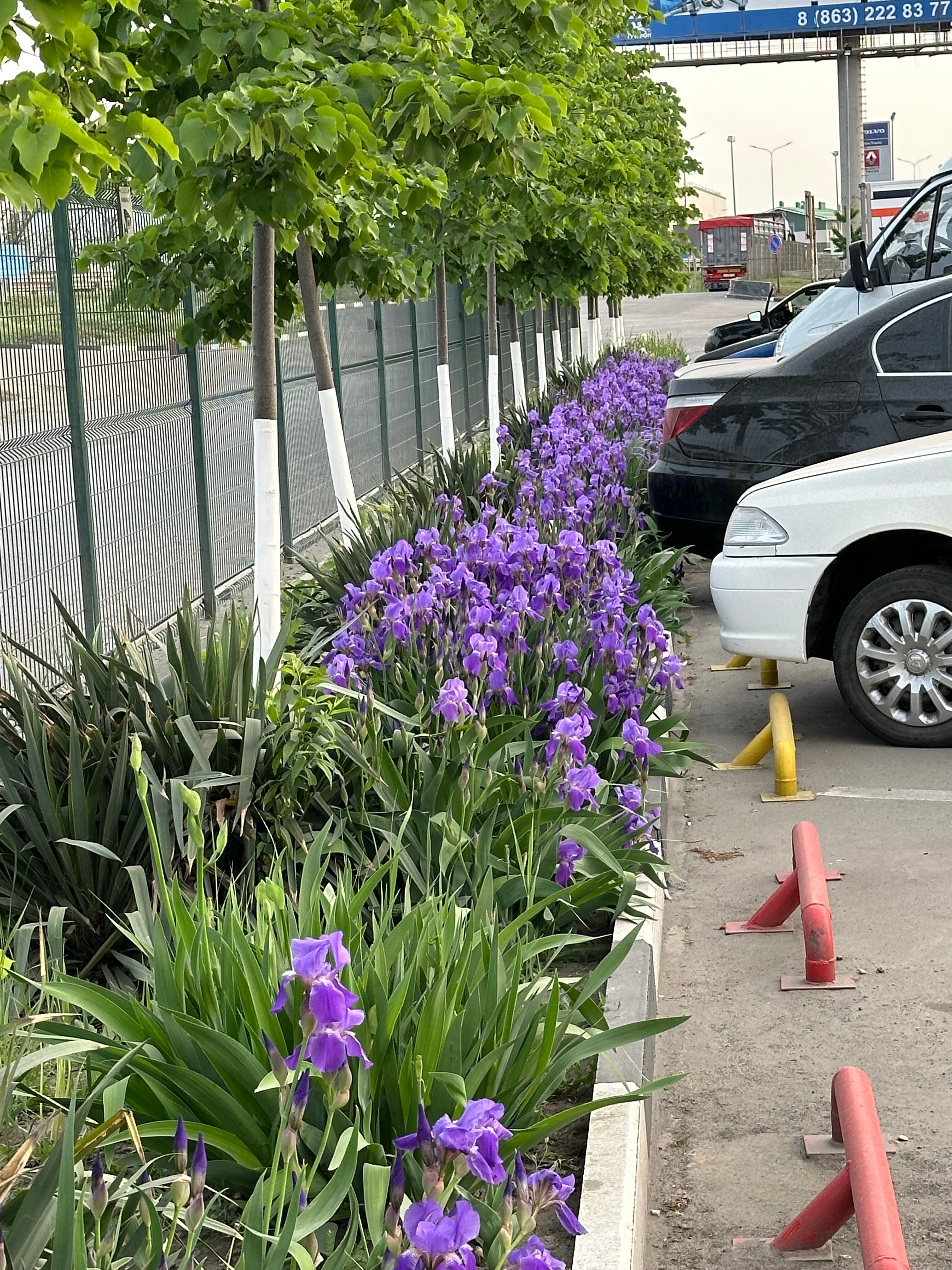 Фото Родина