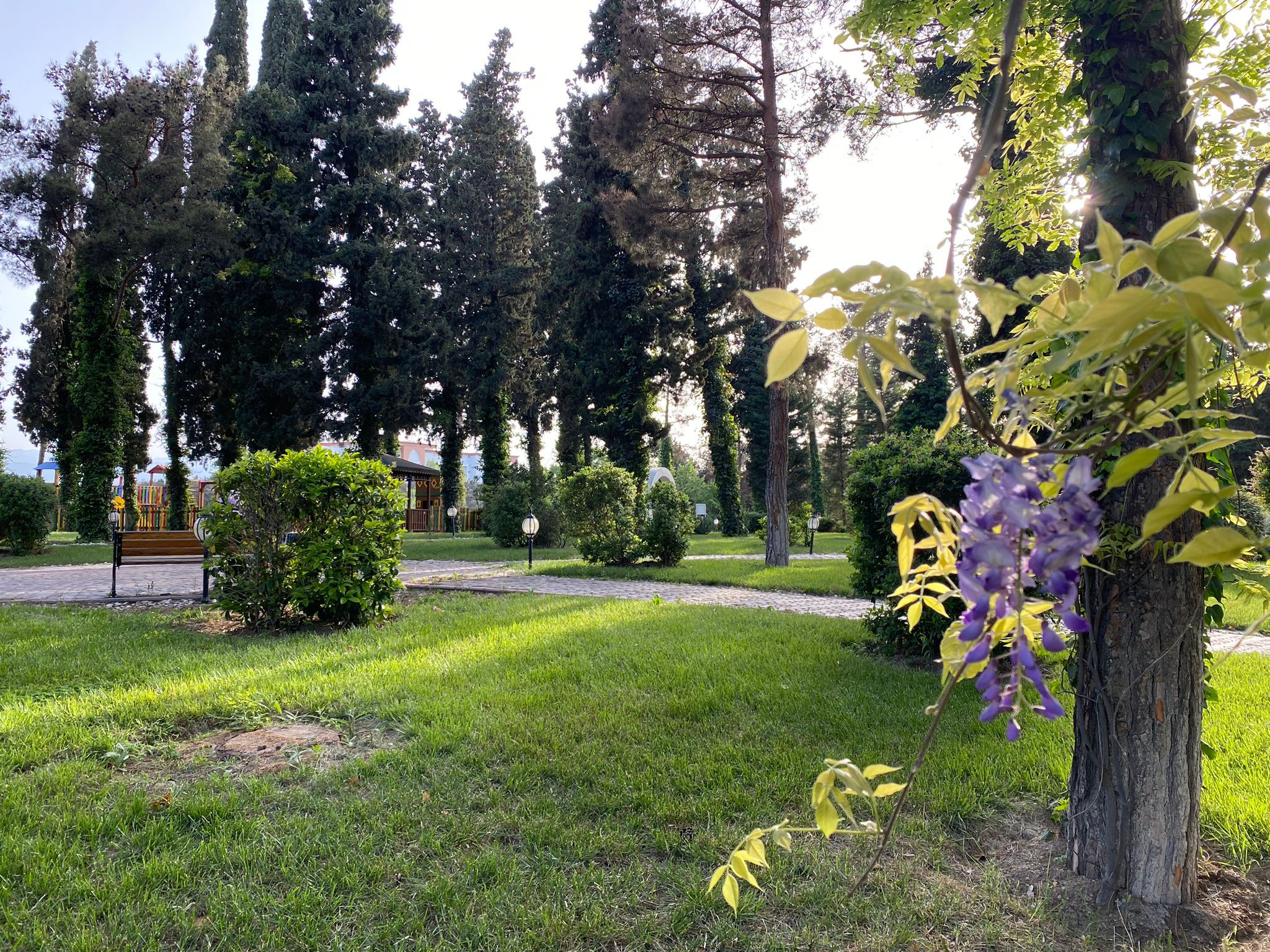 Фото Garabagh Resort & SPA