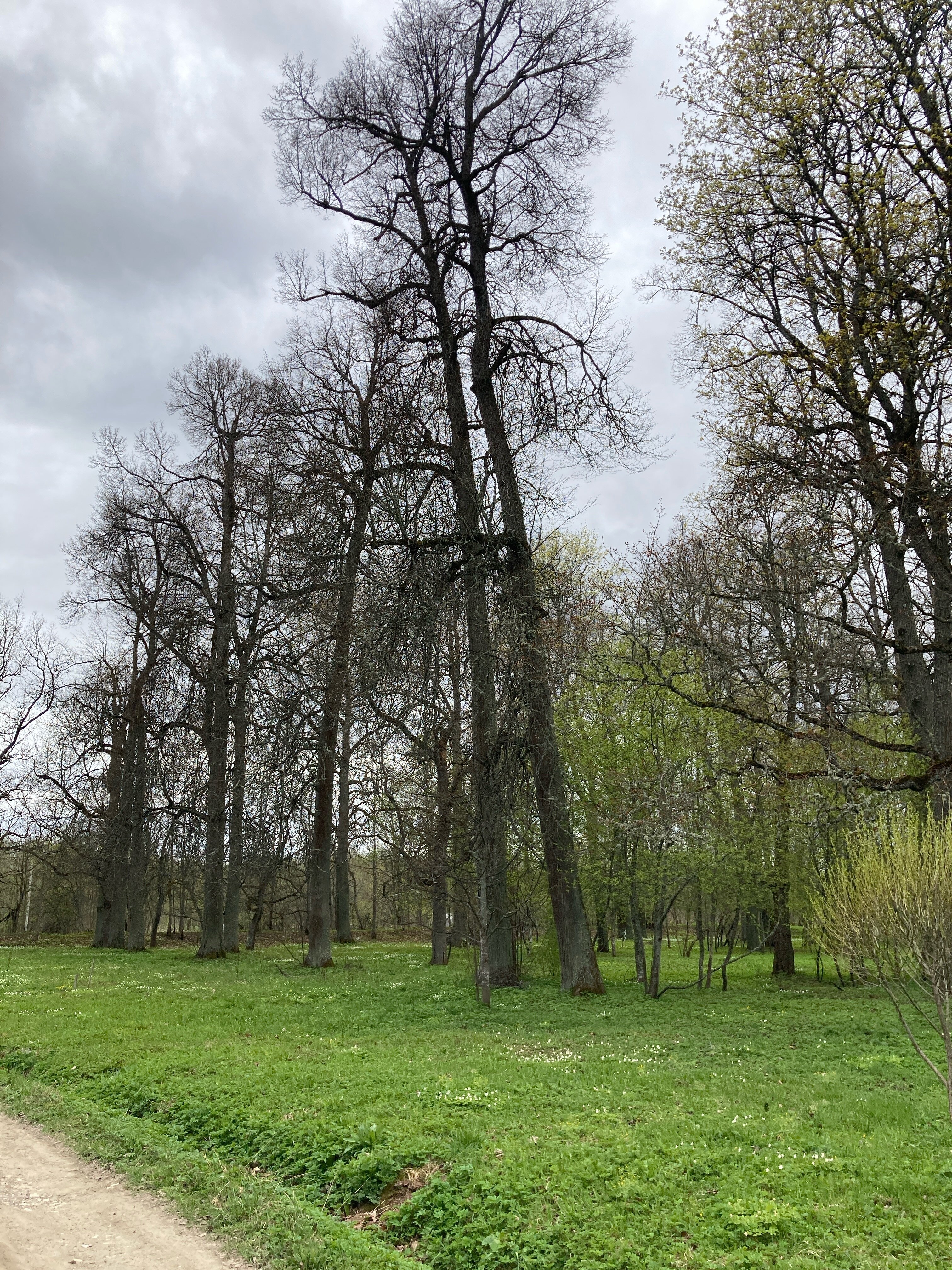 Фото Экоусадьба Зеленые Холмы