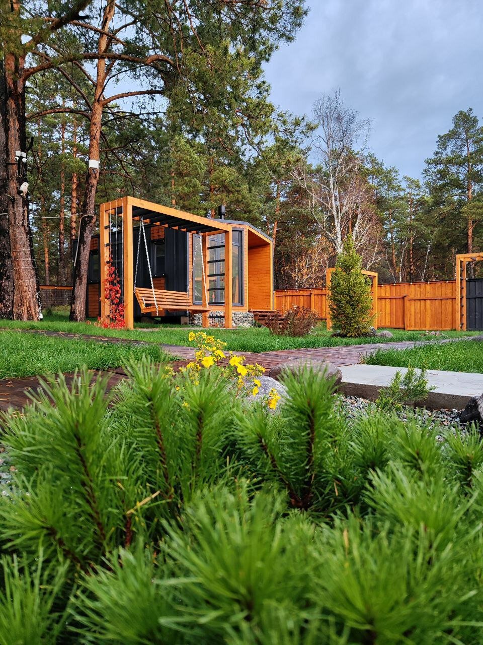 Фото Лес ДО небес