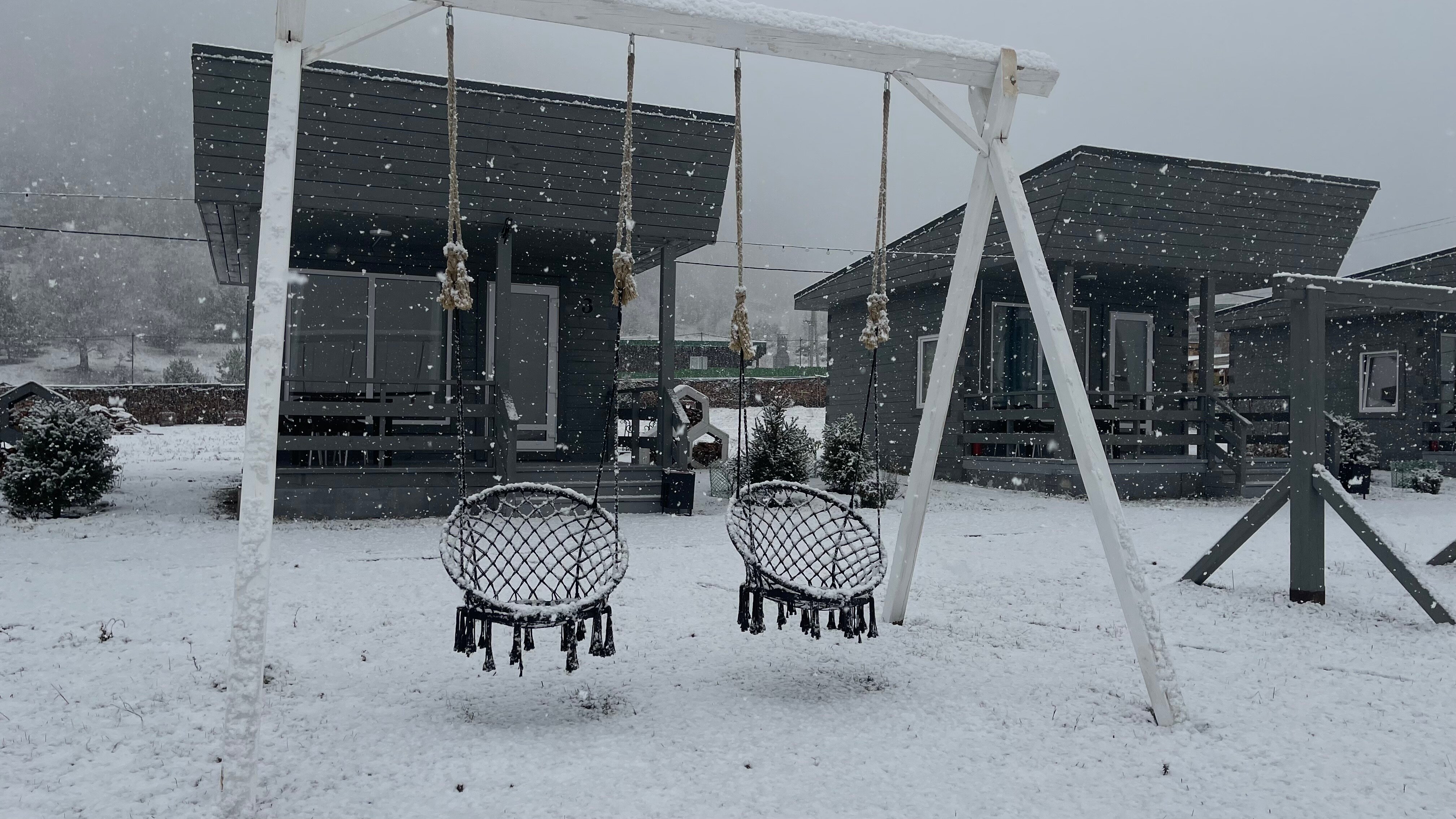 Фото Алтай Лотос