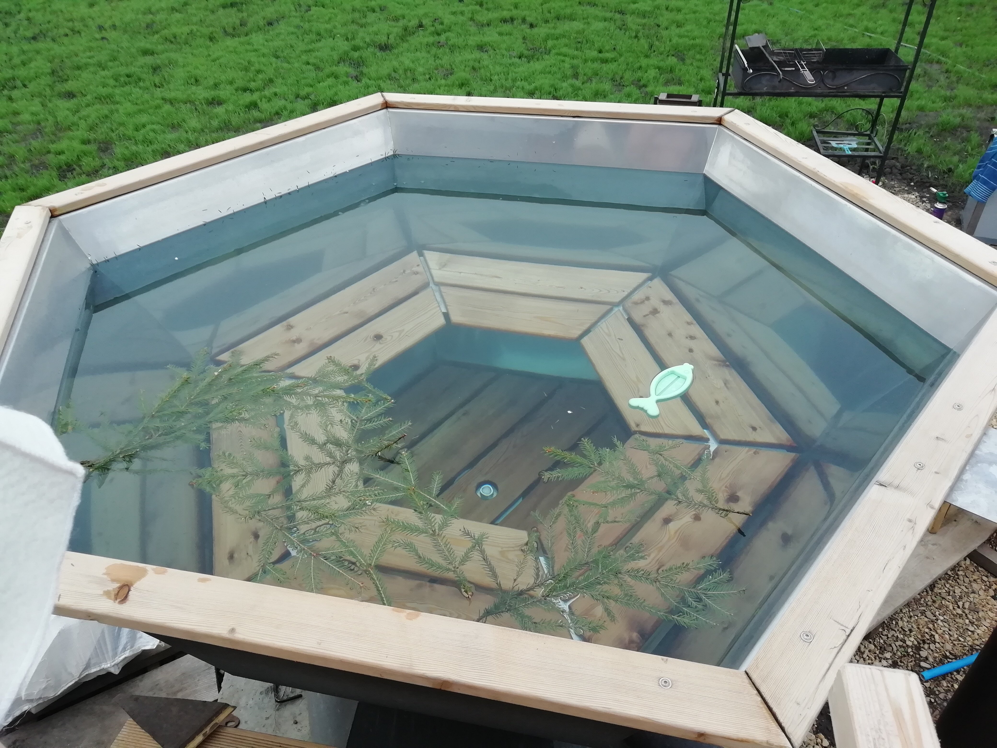 Фото Шишкин Афрейм