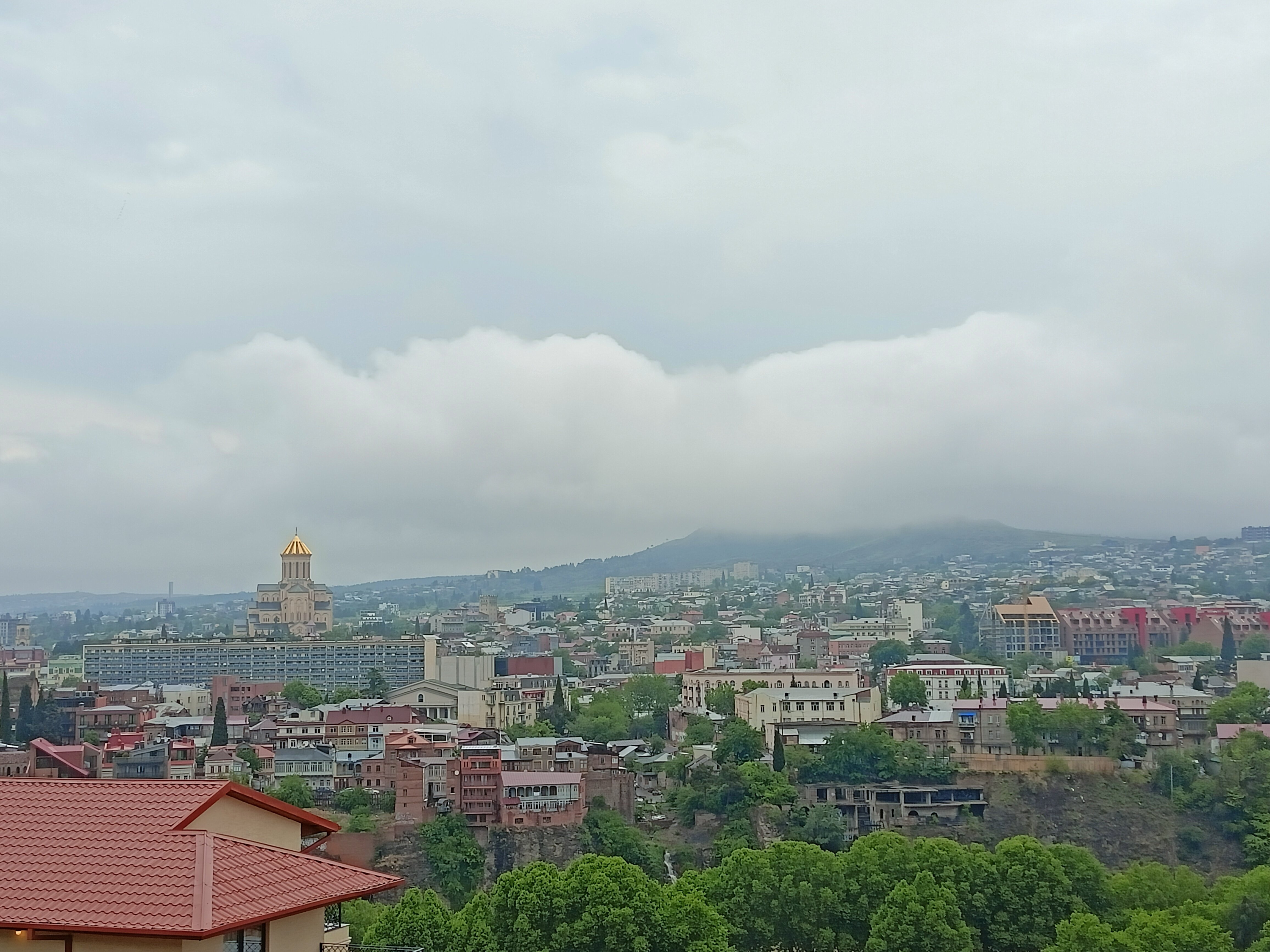 Фото Reikartz King Tamar