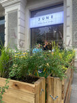 June (Uqchi Street, 6), cafe
