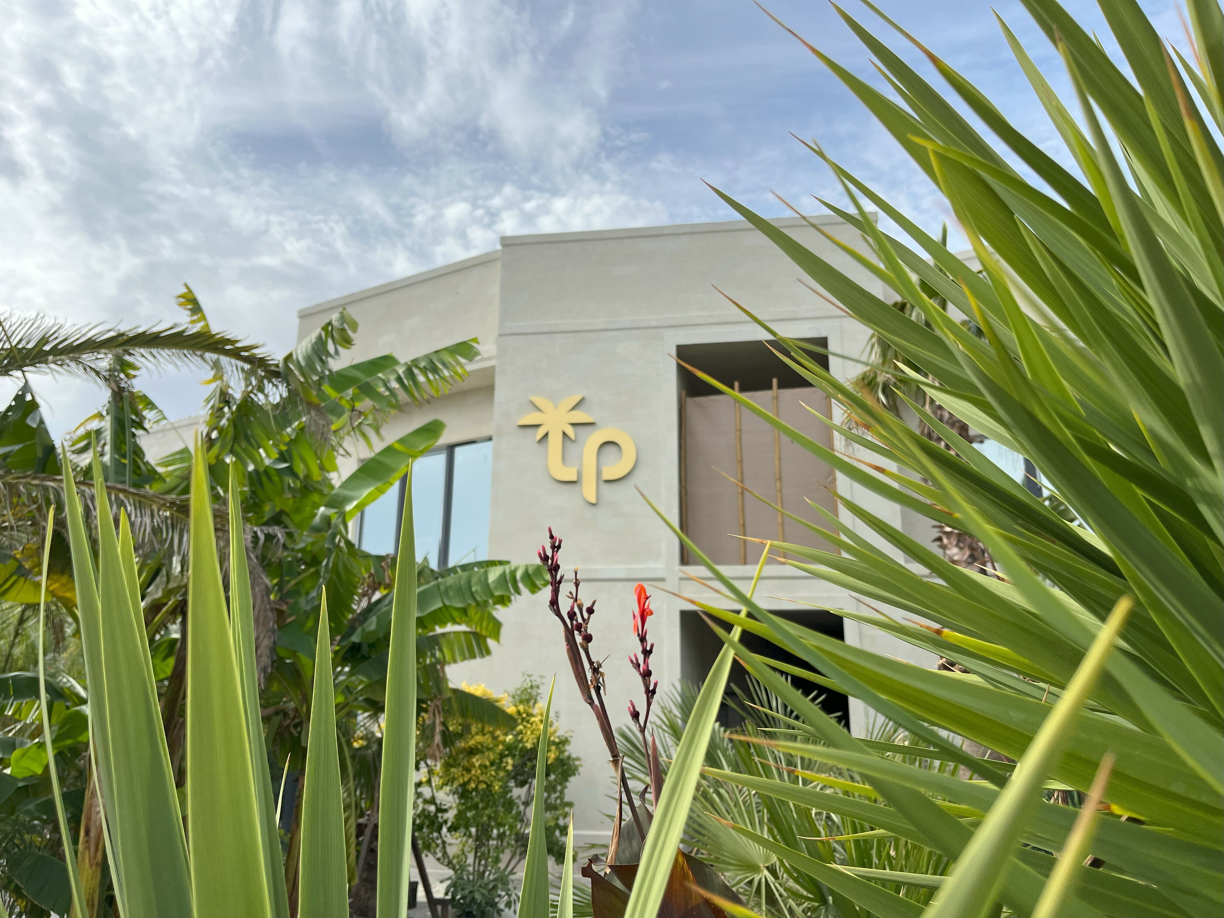 Фото Little Palm