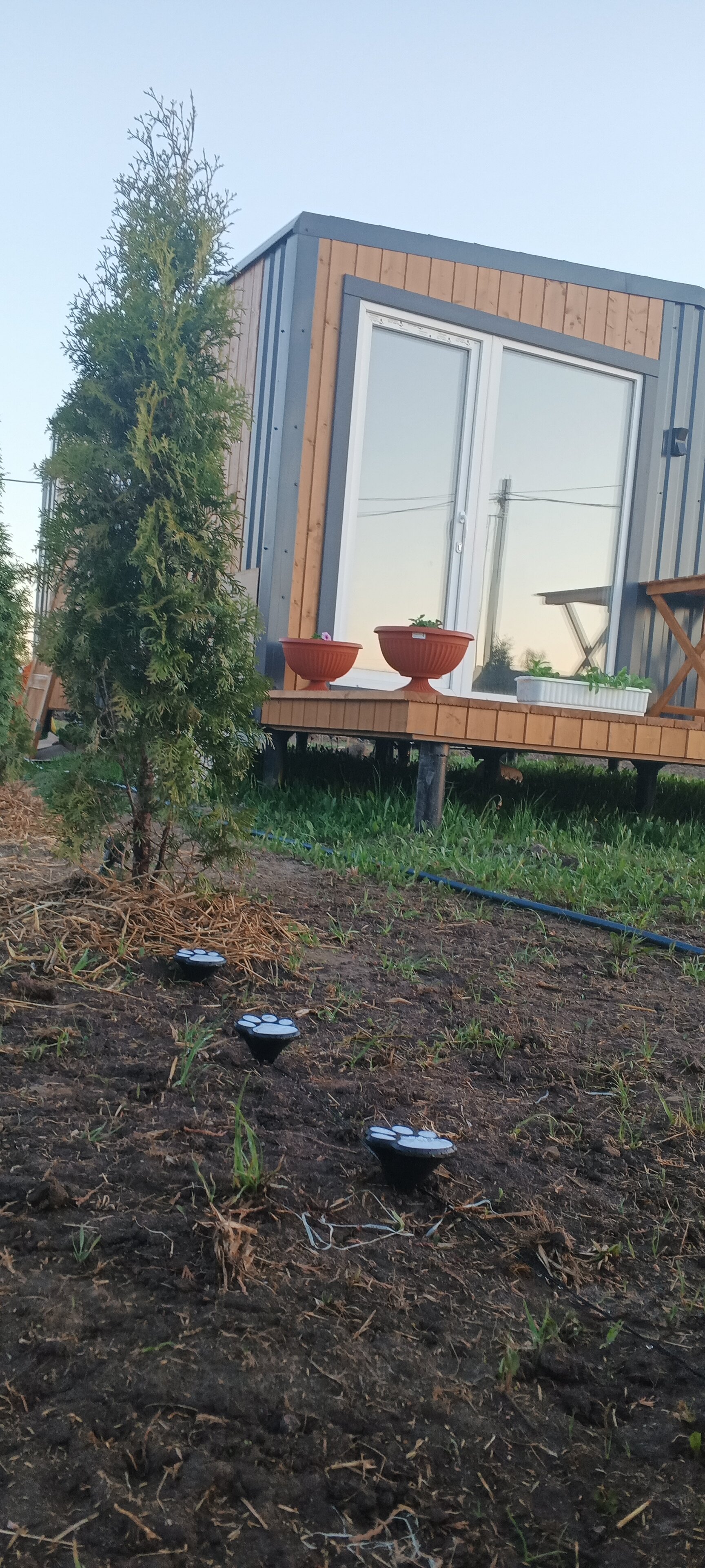 Фото В гостях у Молли