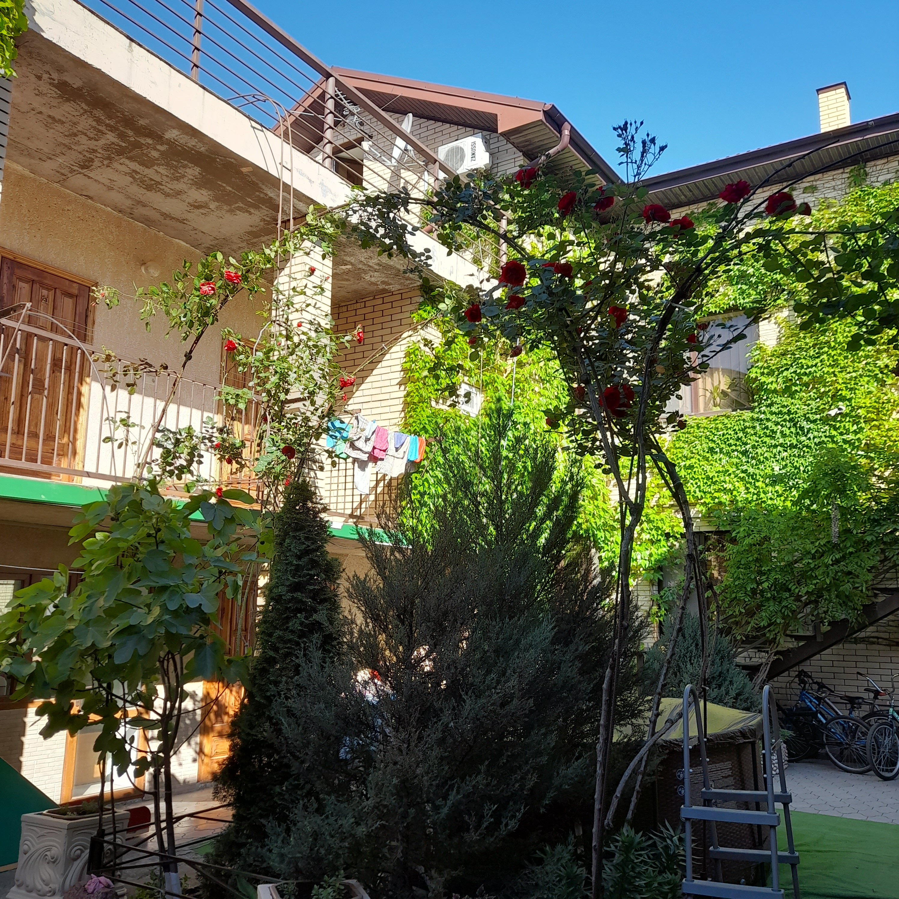 Фото Анисья