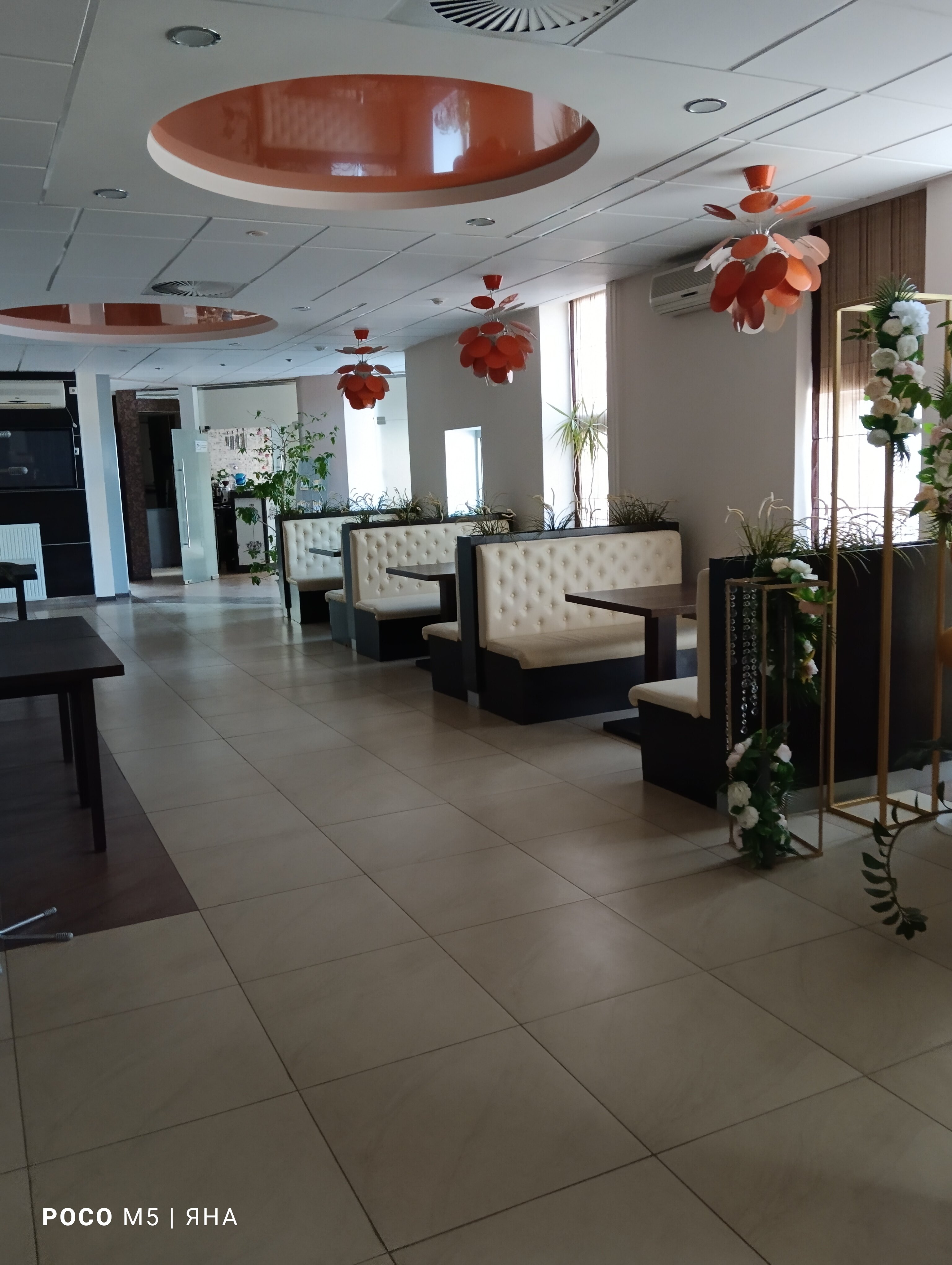 Фото Апельсин