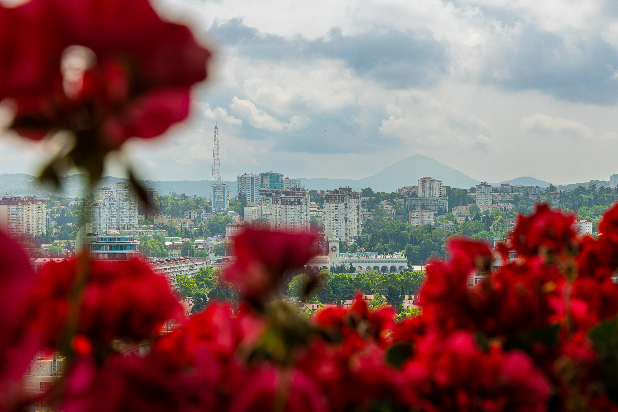 Фото Апартаменты на улице Виноградной 15/1