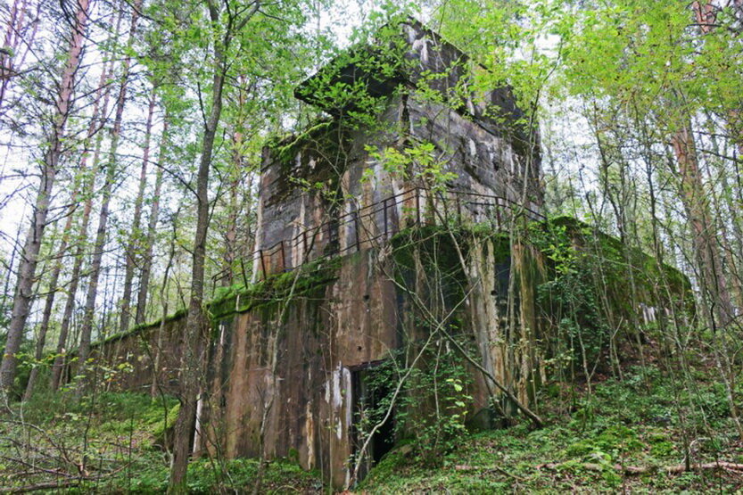 Фото Домик Коиви