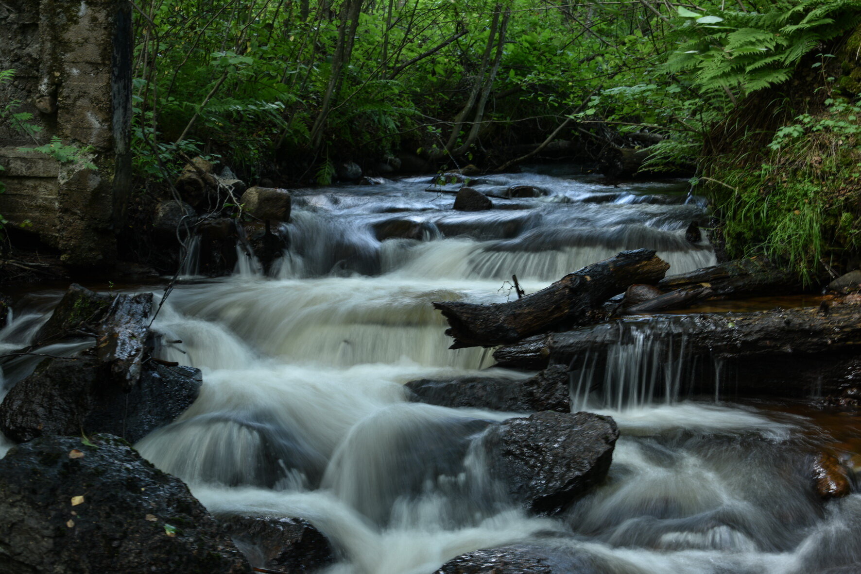 Фото Домик Коиви