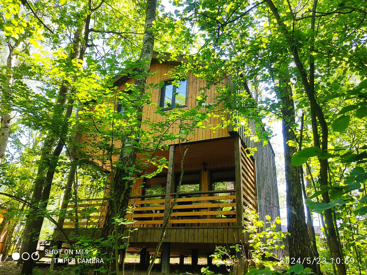 Фото Ореховая роща