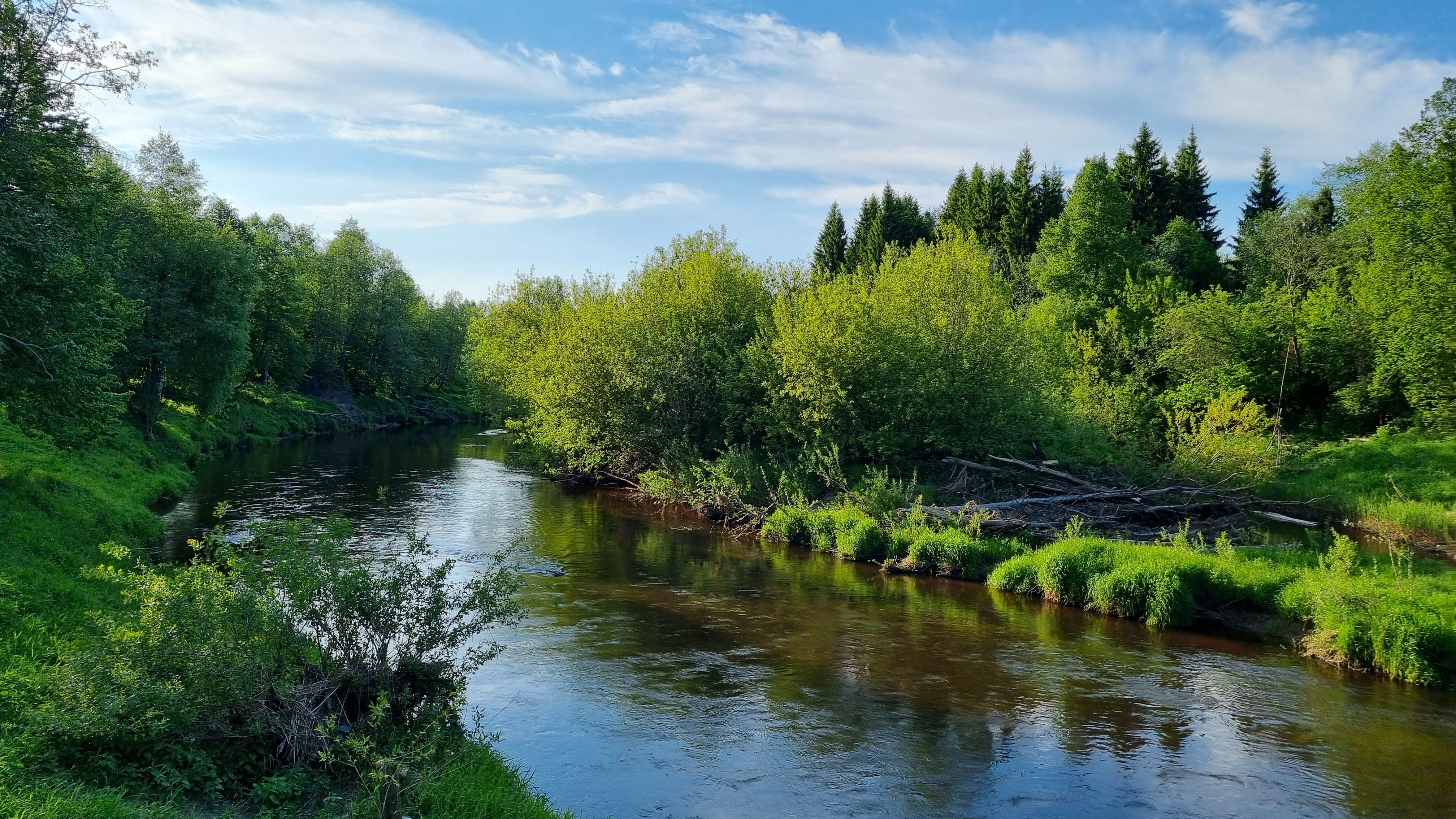 Фото Шале-отель Кроличья нора