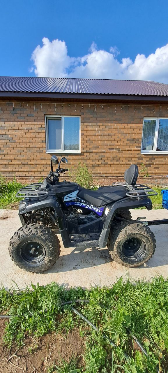 Фото Ёлки-Палки