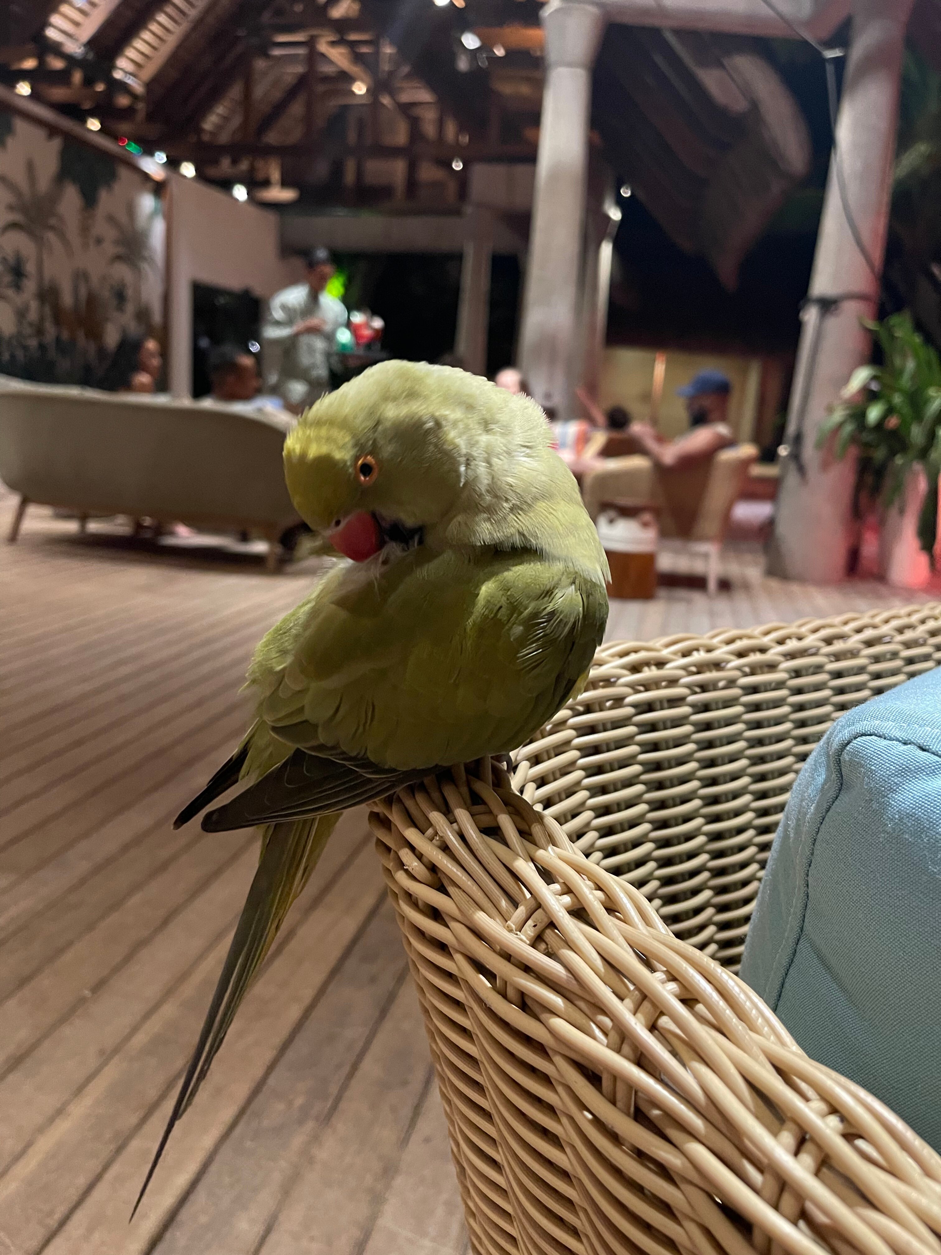 Фото Trou aux Biches Beachcomber Golf Resort & SPA