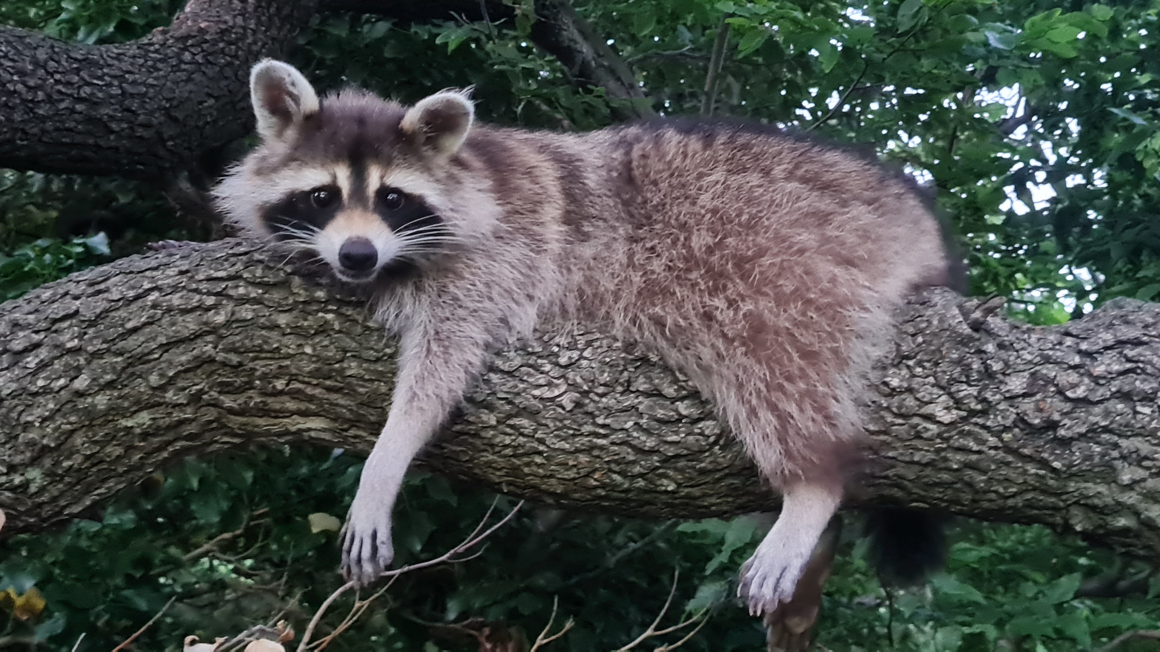 Фото Abrau Soul&Spa