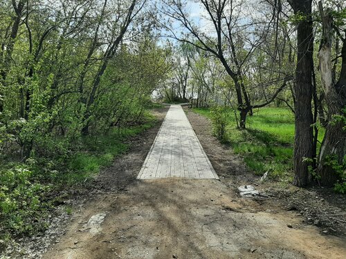 Волосатые письки порно кастинг